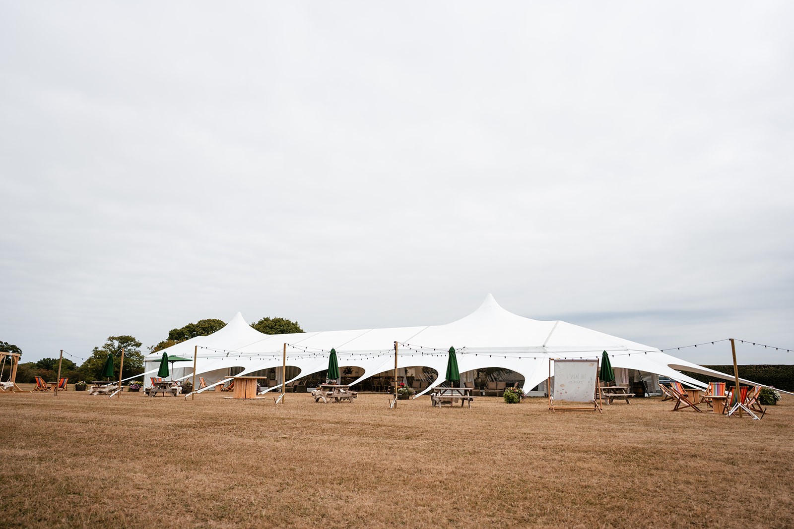 Outside view spider.jpg